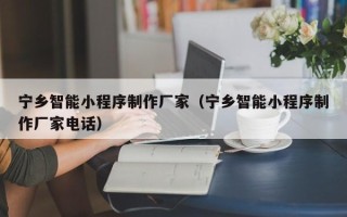 沈丘宁乡智能小程序制作厂家（宁乡智能小程序制作厂家电话）