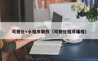 沈丘可视化+小程序制作（可视化程序编程）